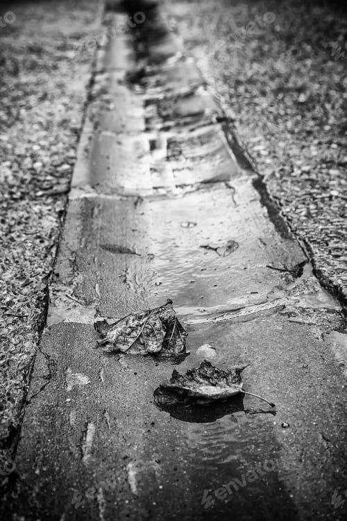 Preview: Autumn Detail In Nature, Dry Leaf Lying On The Ground