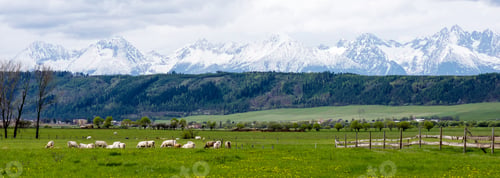 Preview: Dark Storm Clouds Over Meadow With Green Grass And Mountains In Background