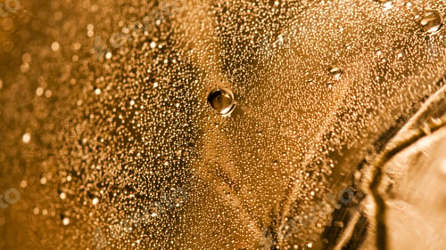 Preview: Abstract Underwater Composition With Bubbles, Lines And Light