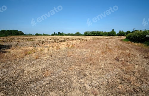 Preview: Dry Barren Parched Agriculture Field