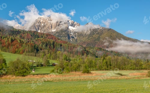 Preview: Natural Park Of Zelenci In Slovenia