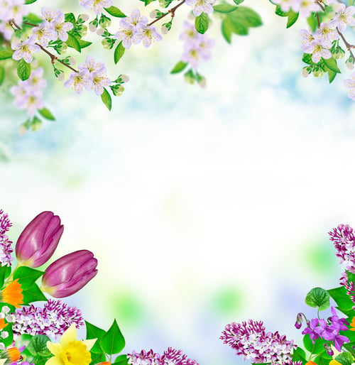 Preview: Blossoming Branch Apple. Bright Colorful Spring Flowers.