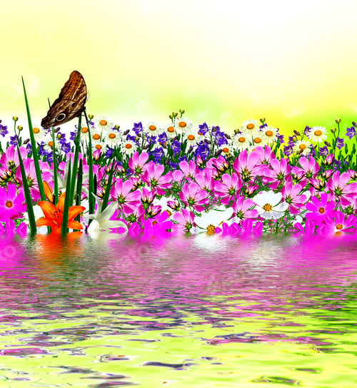 Preview: Field Daisy Flowers And Bells