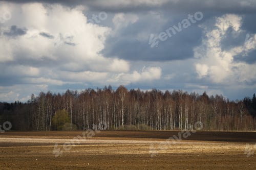 Preview: Processed Cereal Fields In Spring