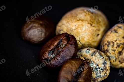 Preview: Brown Roasted Coffee And Cocoa Beans On Black Background, Close Up, Macro