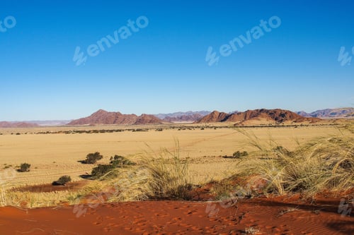Preview: Wandering Elim Dune Of Sossuvlei Desert In Namibia
