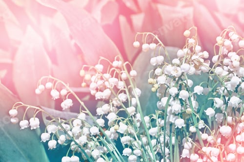 Preview: Spring Landscape. Flowers Lily Of The Valley