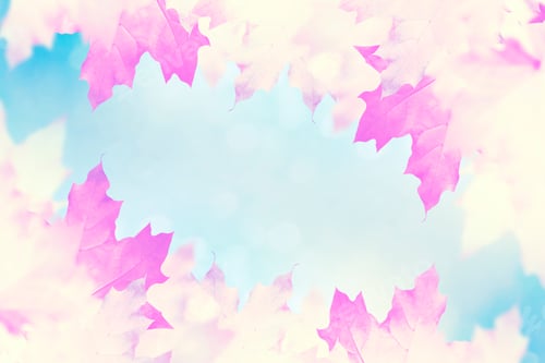 Preview: Autumn Landscape With Bright Colorful Leaves. Indian Summer.