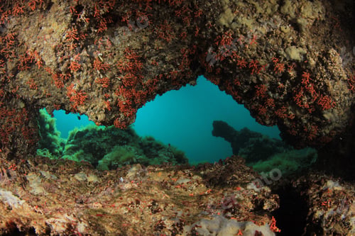 Preview: Underwater Cave