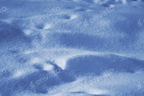 Preview: Background. Winter Landscape. The Texture Of The Snow