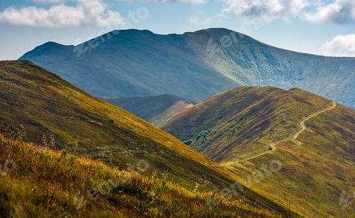Preview: Winding Path Through Large Meadows On The Hillside Of Carpathian Mountain Ridge