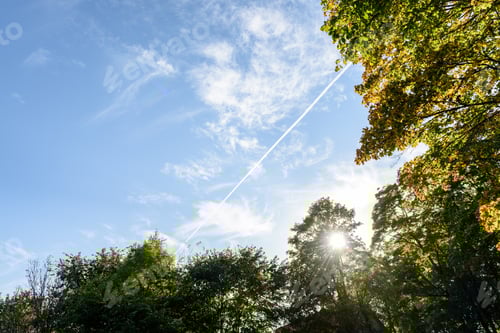 Preview: Autumn Colored Trees In The Park Covered With Moss In Wet Sunny Day
