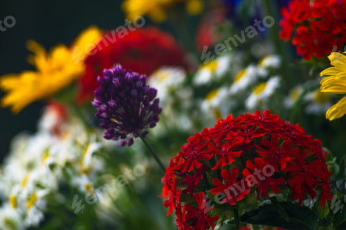 Preview: A Bouquet Of Bright Spring Flowers Of Various Types