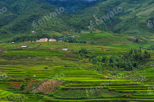 Preview: Vietnamese Mountain Landscape With Rice Fields And Small Villages In The Mountains Of Sapa Area In