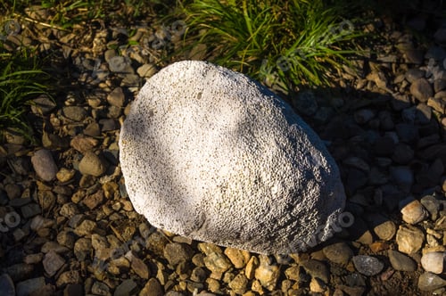 Preview: White Porous Stone Lying On The Gravel Path With Green Grass