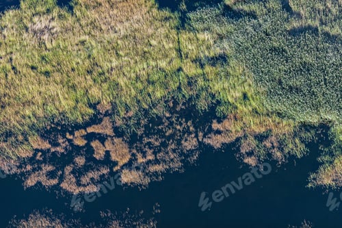 Preview: Aerial View Over The Coast Of Lake In Autumn