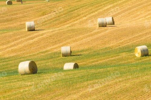 Preview: Tuscany Hills Landscape, Italy. Rural Italian Panorama.