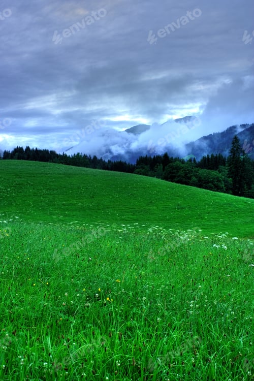 Preview: Landscape With Meadow And Forest In A Cloudy Day