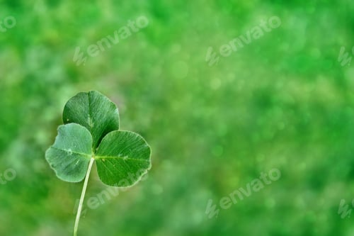 Preview: Green Clover Leaves On A Background Summer Landscape