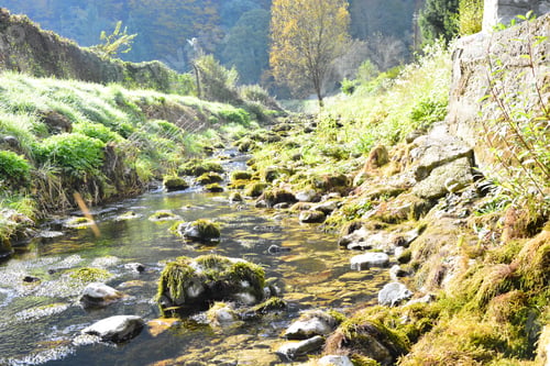 Preview: Life Is Like The River, Sometimes It Sweeps You Gently Along And Sometimes The Rapids Come Out Of