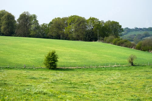 Preview: Sloping Grass Field Meadow Background