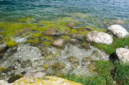 Preview: Lake Water And Boulders