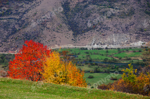 Preview: Landscape With Autumn Trees