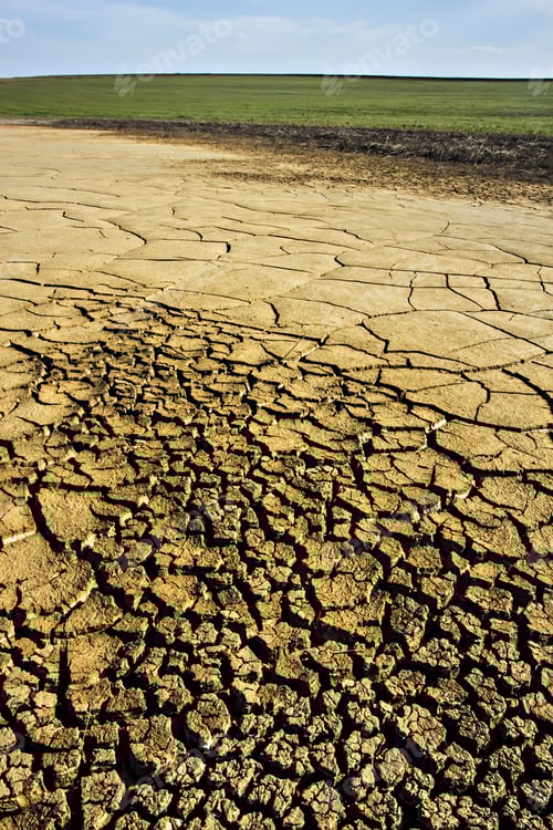 Preview: Cracked Earth and Green Field under Blue Skies