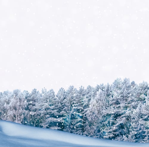 Preview: Frozen Winter Forest With Snow Covered Trees.