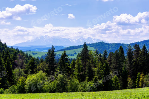Preview: Spring Day In Pieniny National Park, Poland. Landscape Of Polish Mountains On A Warm And Sunny Day