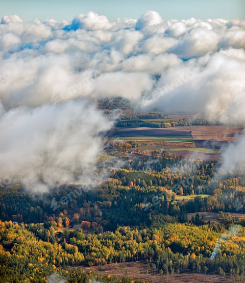 Preview: Aerial View Over The Clouds And Trees In Autumn