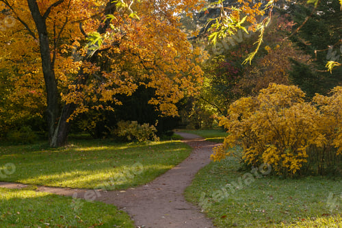 Preview: Scenic Scene In The Autumn Park. Yellow Foliage Of Trees In Autumn. Yellow And Red In The Garden.