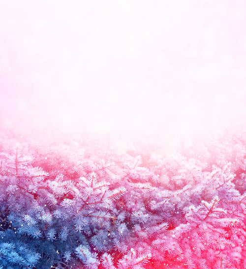 Preview: Blur. Frozen Winter Forest With Snow Covered Trees.