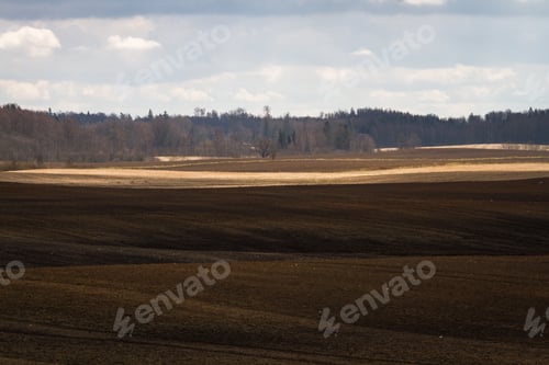 Preview: Processed Cereal Fields In Spring