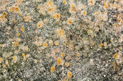 Preview: Metallic Texture With Rust For Backgrounds