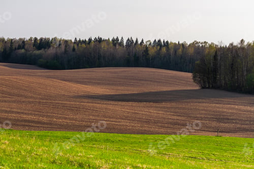 Preview: Agricultural Fields In Springtime