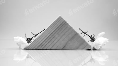 Preview: Black And White, Still Life Composition With Wooden Geometrical Pieces With White Roses And Light