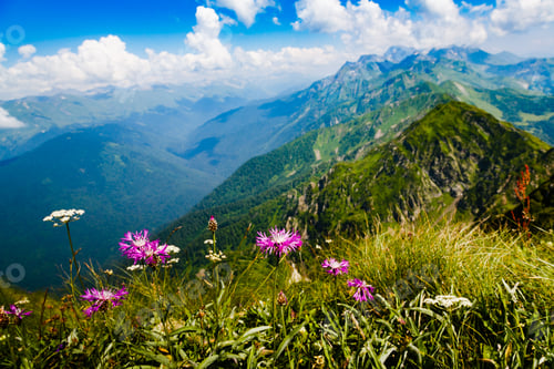Preview: Beautiful Mountain Landscape With Alpine Meadows, Herbs And Flowers. Sky, Clouds, Mountains.