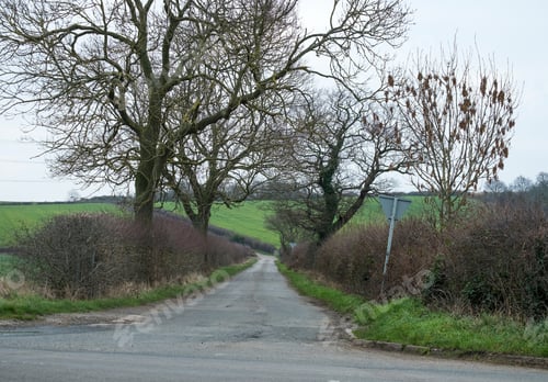 Preview: Deserted Country Lane In Autumn