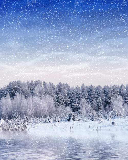 Preview: Forest In The Frost. Winter Landscape. Snow Covered Trees.