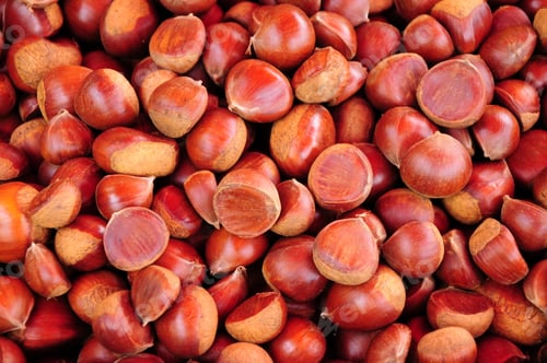 Preview: Chestnut Background