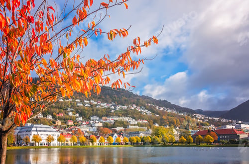 Preview: Small Lille Lungegardsvannet Lake, Also Called Smalungeren, In Autumn, Bergen, Norway