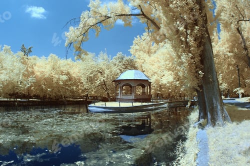 Preview: Infrared Landscape And Details