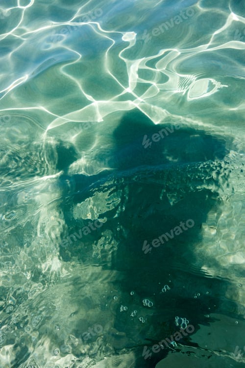 Preview: Underwater Texture With Person Silhouette