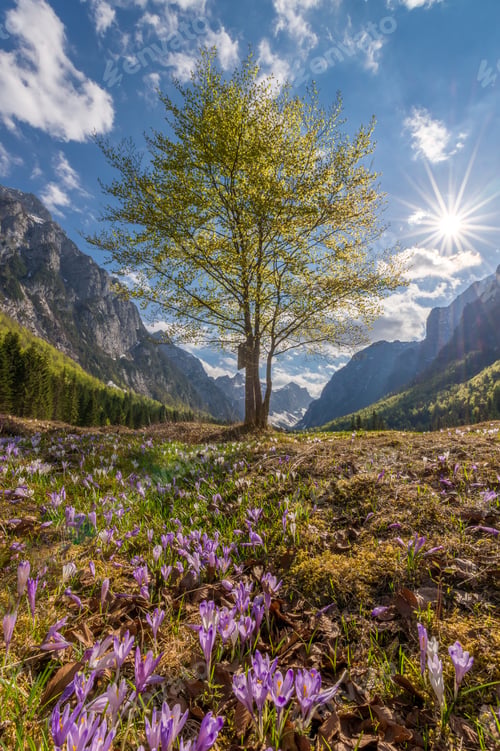 Preview: Krma Valley Is A Beautiful Mountain Valley, Especially Beautiful In Spring Time