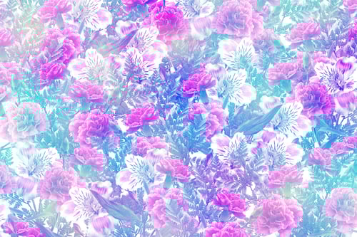 Preview: Flowers Carnation