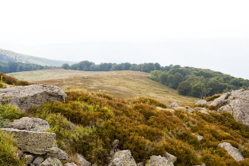 Preview: Mountain Landscape With Trees And Rocks