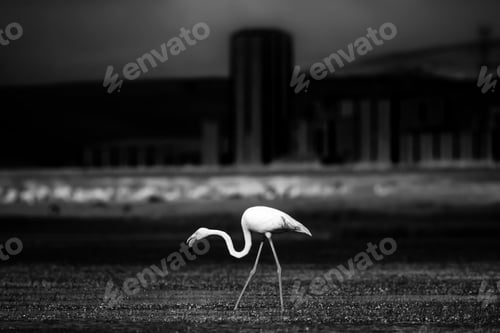 Preview: Nature And Industry. Death Of Nature.