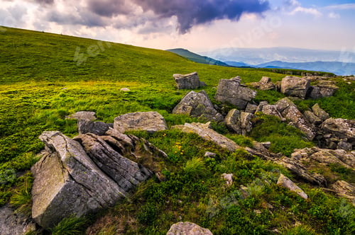 Preview: Dandelions Among The Rocks In Carpathian Alps. Heavy Cloud On A Blue Sky Over The Mountain Peak In