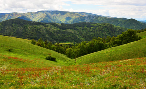 Preview: Summer Mountain Landscape In Serbia